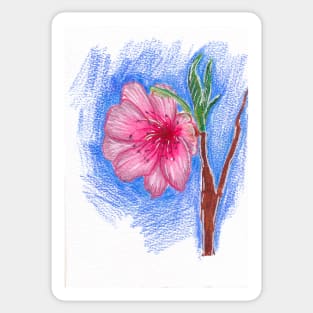 Almond blossom Sticker